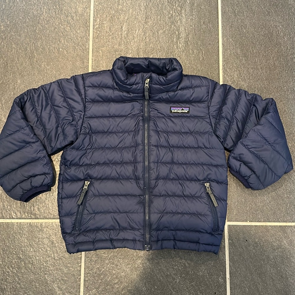 Patagonia Blue Down Sweater